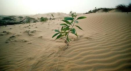 Mười áp dụng cụ thể để bảo vệ môi sinh