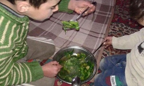 Người Syria ăn cây cỏ để chống đói qua ngày