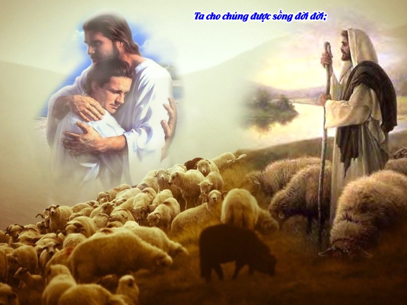 NGƯỜI MỤC TỬ NHÂN LÀNH 