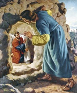 PHẢN ỨNG CỦA ÔNG SIMON PHÊRÔ VÀ NGƯỜI ĐƯỢC ĐỨC GIÊSU THƯƠNG MẾN