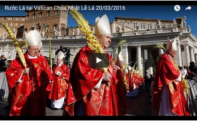 Video: Rước Lá tại Vatican Chúa Nhật Lễ Lá 20/03/2016