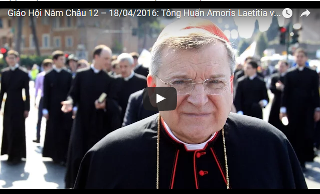Video: Giáo Hội Năm Châu 12 – 18/04/2016: Tông Huấn Amoris Laetitia và phản ứng của các nhà lãnh đạo Giáo Hội trên thế giới