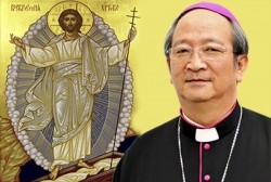 Thư Mục tử về Ngày Thế giới Truyền thông xã hội lần thứ 50