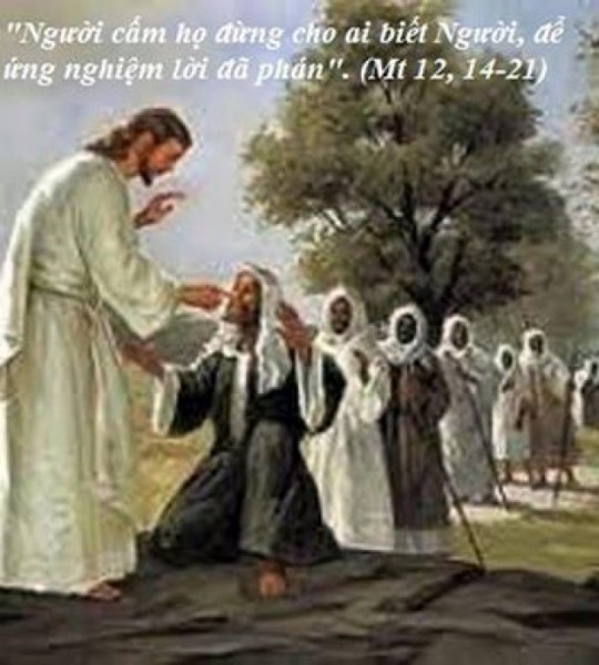 SUY NIỆM THỨ NĂM TUẦN XVII THƯỜNG NIÊN C – LÒNG NHẪN NẠI CỦA THIÊN CHÚA