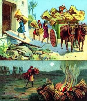 SUY NIỆM THỨ TƯ TUẦN XVII THƯỜNG NIÊN C – HÃY BỀN TÂM VỮNG CHÍ