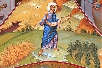 SUY NIỆM THỨ TƯ TUẦN XIX – TN – C : CHẾT ĐỂ SINH NHIỀU HẠT