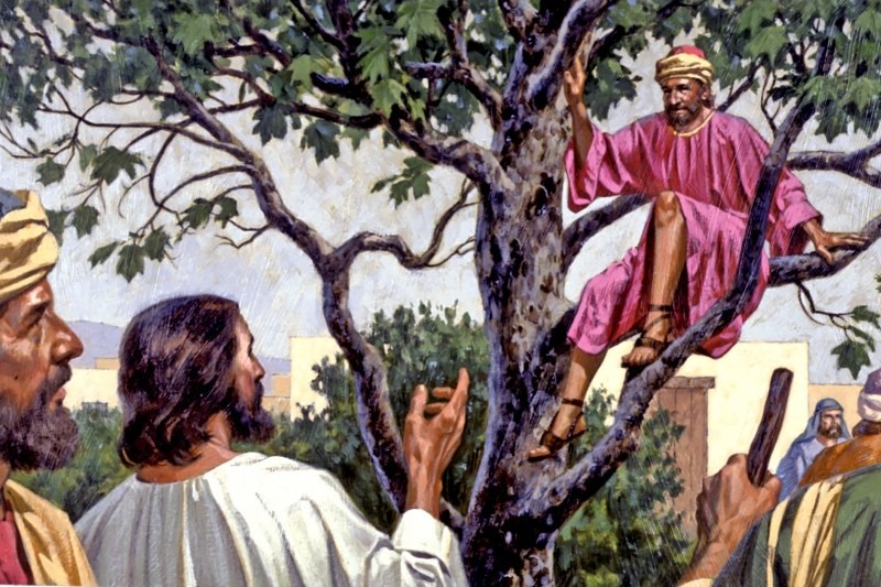 [Audio Bài Giảng] Chúa Nhật XXXI Thường Niên Năm C Thánh Lễ Thiếu Nhi