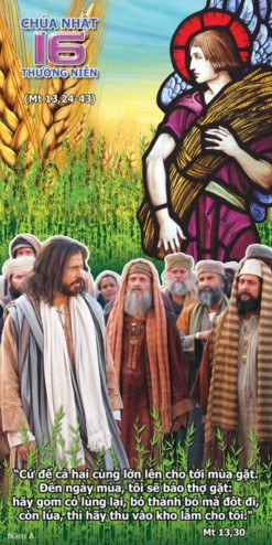 [Audio Thánh Lễ] Chúa Nhật XVI TN- A Với Chủ Đề “Kiên Nhẫn Chờ Đợi”