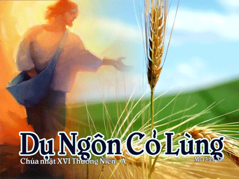 NHẪN NẠI VÀ BAO DUNG