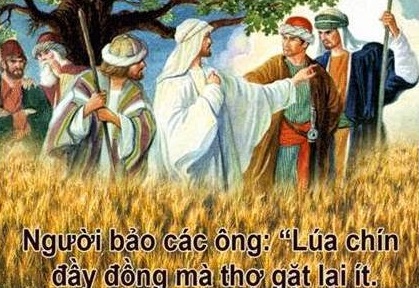 HÃY CHẠNH LÒNG THƯƠNG NHƯ CHÚA GIÊSU