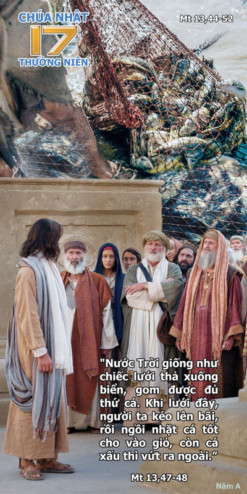 [Audio Thánh Lễ] Chúa Nhật XVII TN – A : Dụ Ngôn Nước Trời.