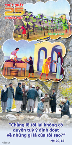 [Audio Thánh Lễ] Chúa Nhật XXV TN- A Với Chủ Đề Thợ Làm Vườn Nho Thánh Lễ Thiếu Nhi