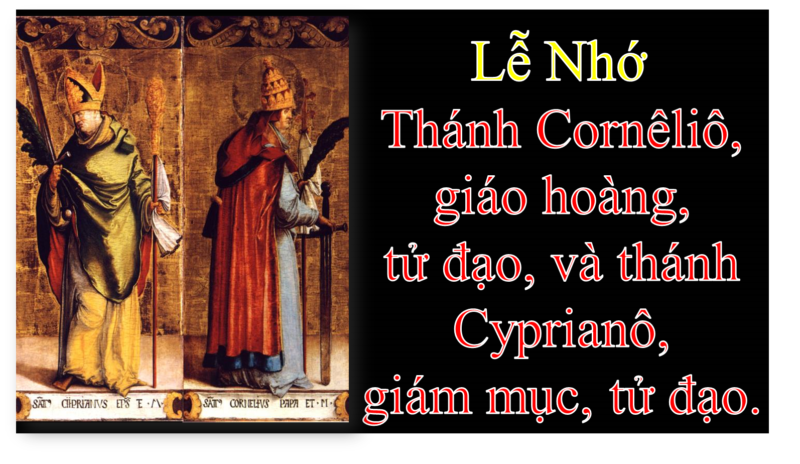 Bài Chia Sẻ Lời Chúa Thứ Bảy Sau Chúa Nhật XXIII Thường Niên Năm A.