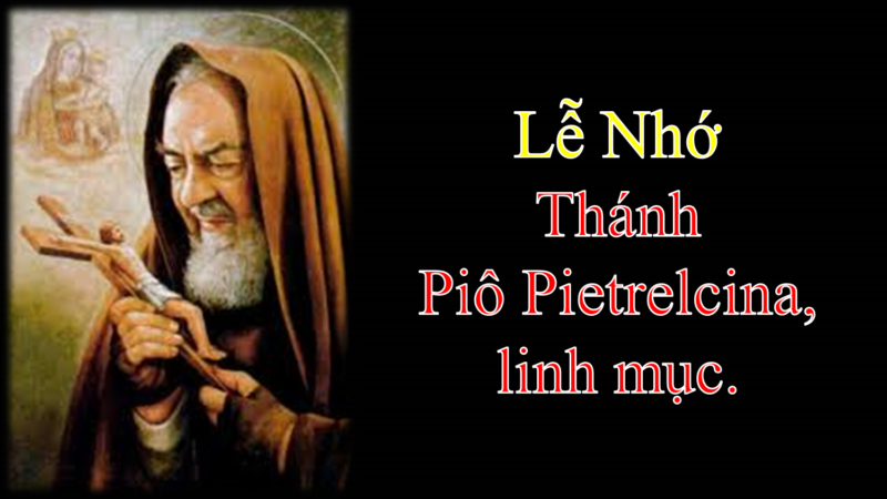 Bài Chia Sẻ Lời Chúa Thứ Bảy Sau Chúa Nhật XXIV Thường Niên Năm A.