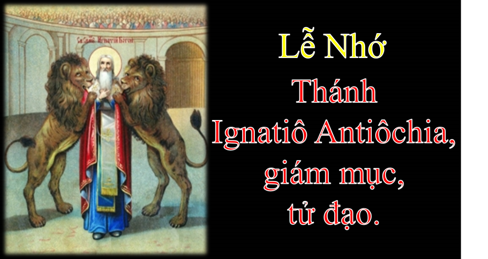 BÀI CHIA SẺ LỜI CHÚA THỨ BA SAU CHÚA NHẬT XXVIII THƯỜNG NIÊN NĂM A.