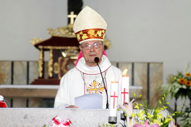 Phỏng vấn độc quyền Đức TGM Giuse Linh : “Giáo Hội Việt Nam cần sự giúp đỡ của các Giáo Hội tâm giao”