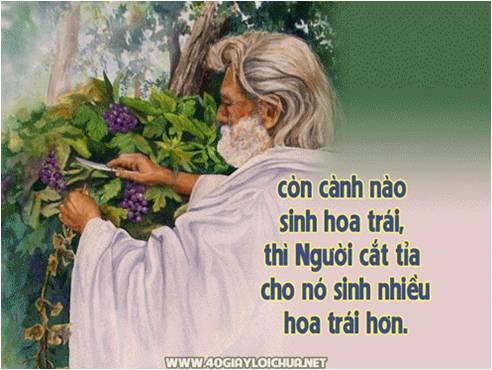  GẮN KẾT VỚI THẦY