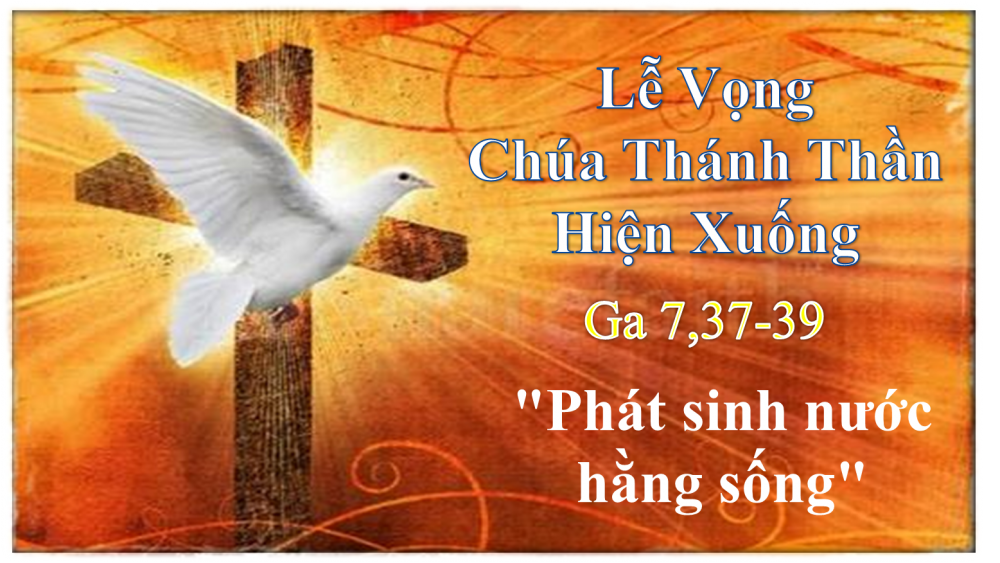 BÀI CHIA SẺ LỜI CHÚA THỨ BẢY SAU CHÚA NHẬT VII PHỤC SINH LỄ VỌNG CHÚA THÁNH THẦN HIỆN XUỐNG NĂM B.