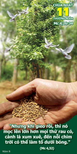 [AUDIO THÁNH LỄ] CHÚA NHẬT XI THƯỜNG NIÊN DỤ NGÔN NGƯỜI GIEO GIỐNG NĂM B THÁNH LỄ THIẾU NHI
