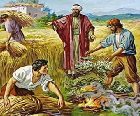 THIÊN CHÚA NHẪN NẠI