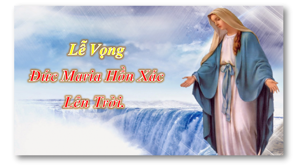 BÀI CHIA SẺ LỜI CHÚA THỨ HAI SAU CHÚA NHẬT XIX THƯỜNG NIÊN NĂM B.