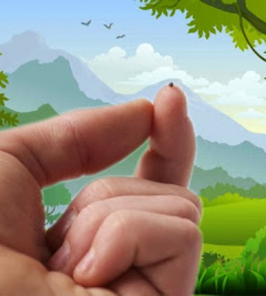 SỨC MẠNH CỦA NƯỚC THIÊN CHÚA