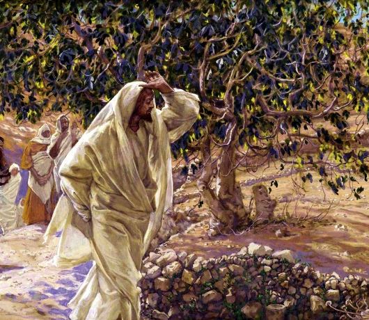 LÒNG NHẪN NẠI CỦA THIÊN CHÚA