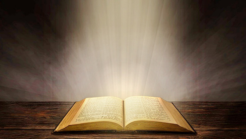 HÃY YÊU THƯƠNG NHAU