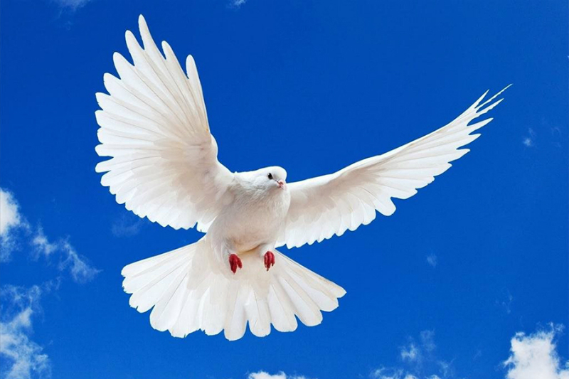 THÁNH THẦN VÀ SỨ MẠNG