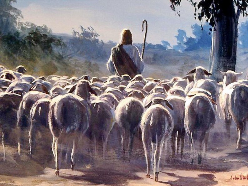 HÃY LÀ CHỦ CHĂN NHÂN LÀNH