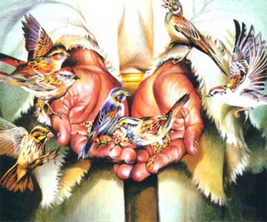 TIN VÀO SỰ QUAN PHÒNG CỦA  CHÚA