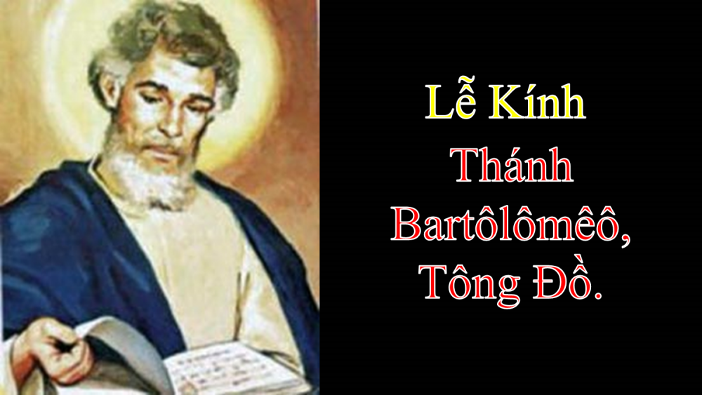 BÀI CHIA SẼ LỜI CHÚA THỨ BẢY SAU CHÚA NHẬT XX THƯỜNG NIÊN NĂM C