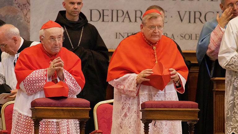 Giáo Hội Năm Châu 7/10/2019: Nhận định của ĐHY Raymond Burke về tình hình Giáo Hội hiện nay