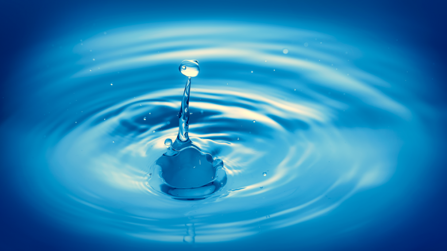 Công bố văn kiện của Tòa Thánh về nước