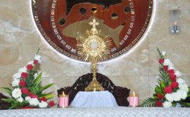 THÔNG BÁO: Chầu Thánh Thể  đầu tháng 5 - 2021