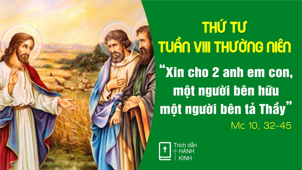 Thứ Tư Tuần VIII Thường Niên : CON NGƯỜI ĐẾN LÀ ĐỂ PHỤC VỤ 