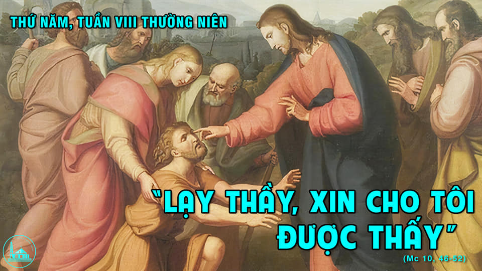 Thứ Năm Tuần VIII -TN : XIN CHÚA CHỮA CHO TA SÁNG