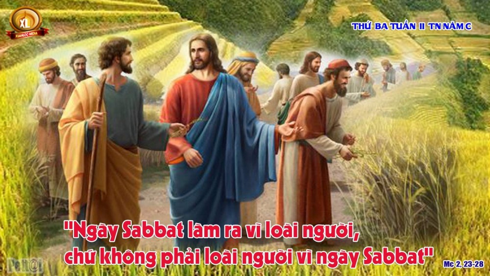 Thứ Ba tuần thứ Hai Thường Niên : CỐT LÕI CỦA LUẬT