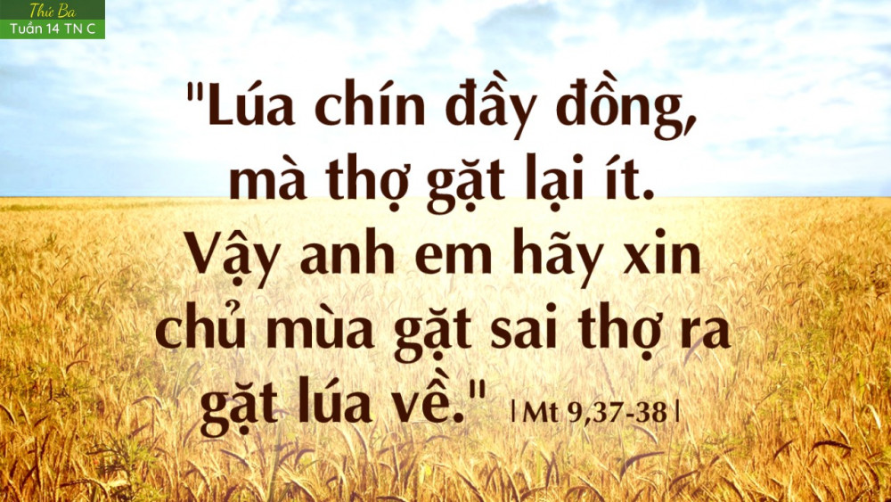 CẦU NGUYỆN VỚI PHÚC ÂM - THỨ BA TUẦN XIV TN