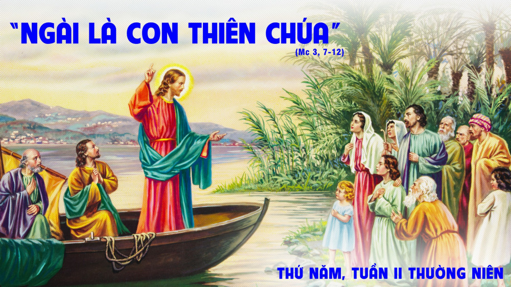 Thứ Năm trong tuần 2 TN : Tuyên tín