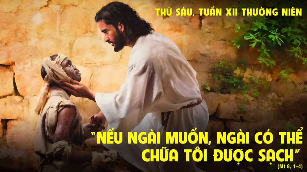 Thứ Sáu tuần XII Mùa TN : Yêu thương và phục vụ