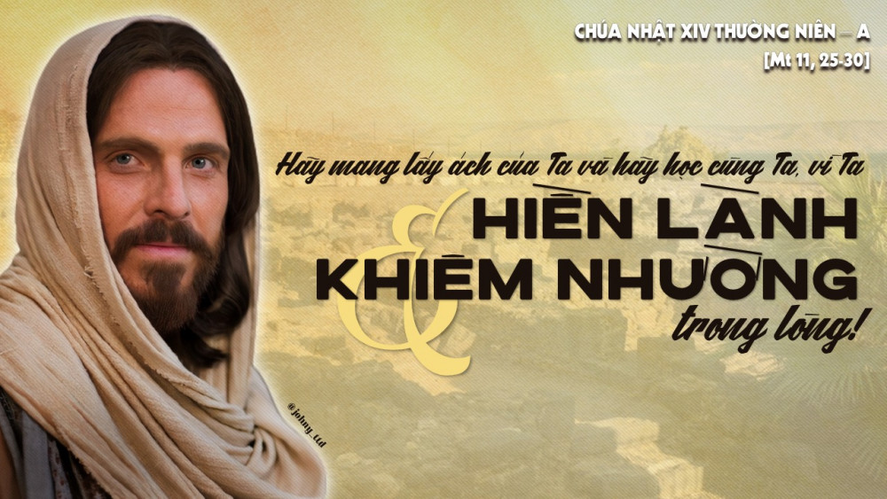 Chúa Nhật Tuần 14- TN : Hãy học với ta, vì ta hiền lành và khiêm nhường