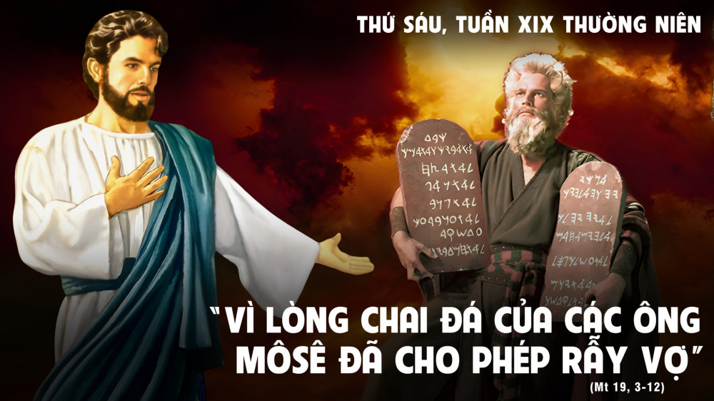Thứ Sáu trong tuần XIX - TN : Không được phân ly