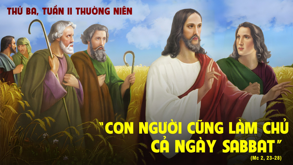 Thứ Ba trong tuần thứ 2 TN : Ngày Sa Bát lập ra vì con người