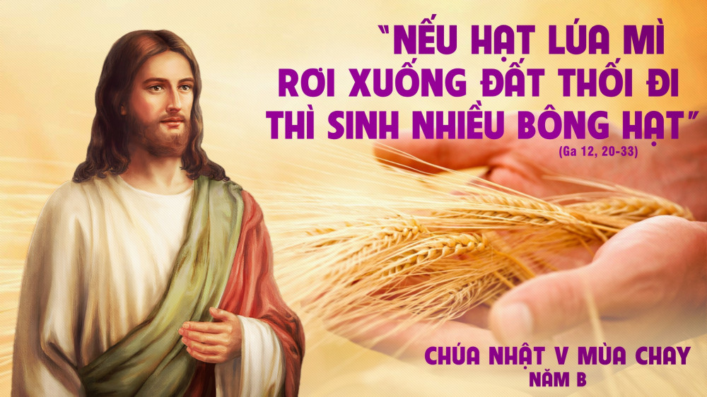 Chúa Nhật thứ Năm Mùa Chay : Thiên Chúa cứu chuộc thế gian bằng tình yêu
