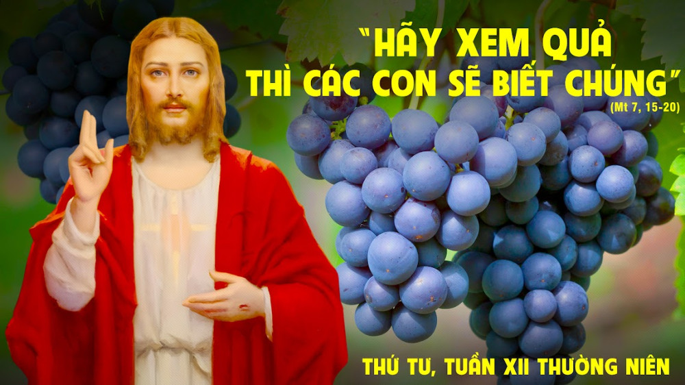 Thứ Tư trong tuần thứ XII - TN : HÃY TRỞ NÊN “QUẢ TỐT”