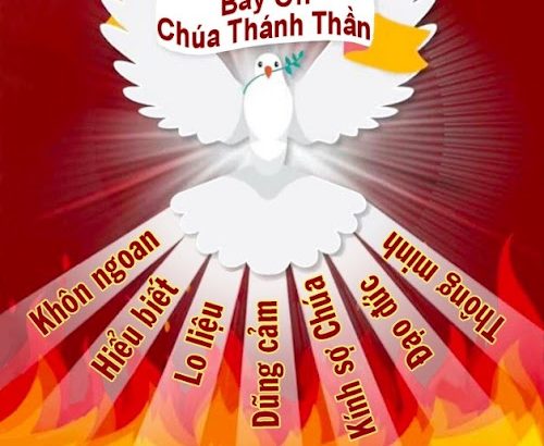 Thêm Sức không phải là Bí tích chia tay Giáo hội nhưng bắt đầu đời sống trong Giáo hội