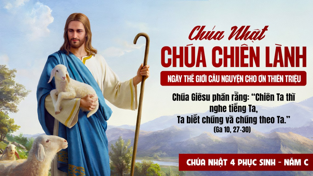 CHÚA NHẬT IV PHỤC SINH :CHÚA CHIÊN LÀNH – NGƯỜI DẪN DẮT ĐÀN CHIÊN ĐẾN SỰ SỐNG ĐỜI ĐỜI