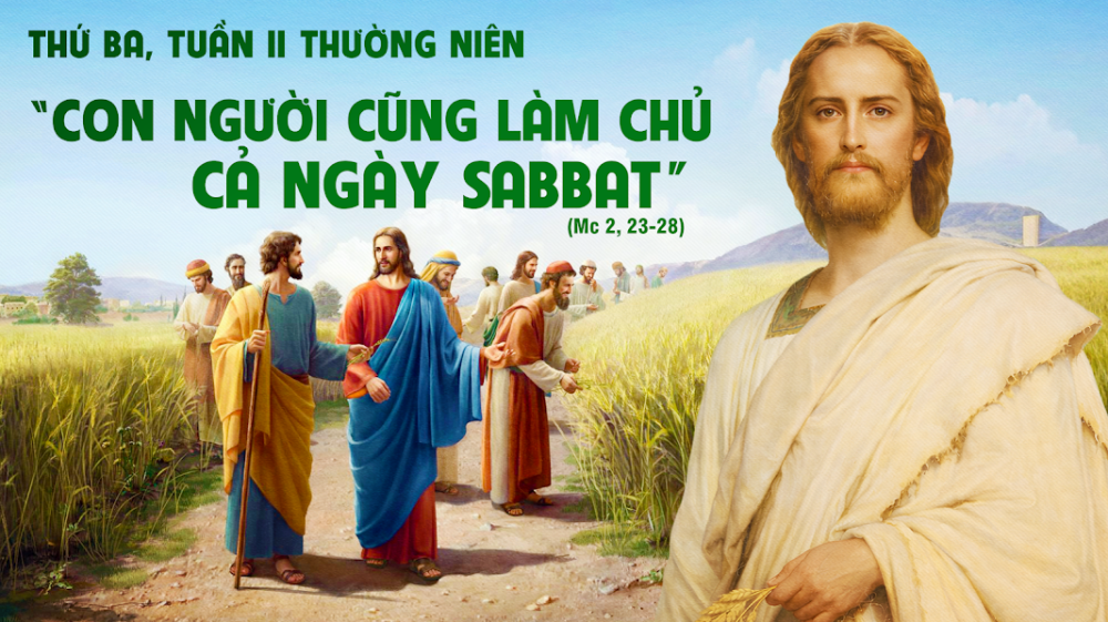 Thứ Ba Tuần II Thường Niên : NHÂN TÍNH VÀ LUẬT PHÁP