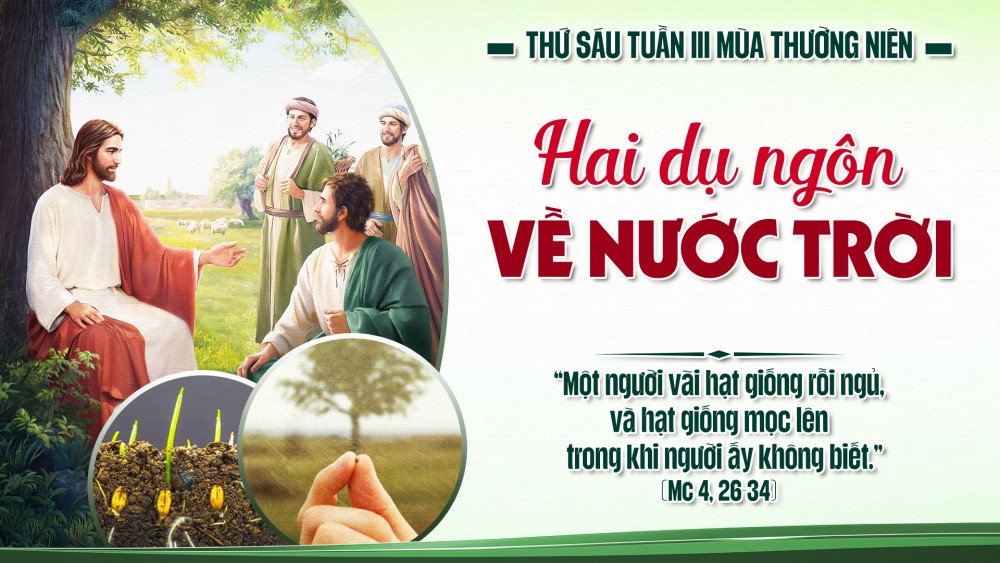 Thứ Sáu Tuần III Thường Niên : SỨC SỐNG BÍ ẨN VÀ TẦM VÓC VĨ ĐẠI CỦA NƯỚC THIÊN CHÚA